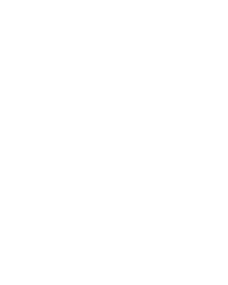 Tigir Solutions